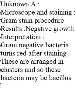 Identification of gram negative unknown bacteria